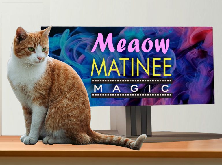 Meaow Matinee Magic Text with Cat sitting on desk